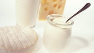 Verschiedene Milchprodukte: ein Camembert, ein Glas Joghurt, ein Glas Milch und ein Stück Käse