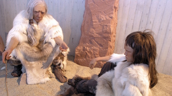 Rekonstruktion einer alten und einer jungen Neandertalerin