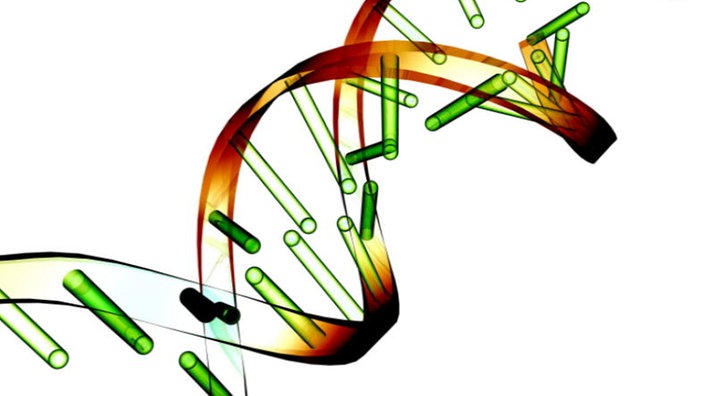 Ein DNA-Strang, der Bruchstellen hat.