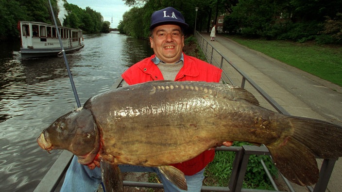 Angler hält einen großen Karpfen.