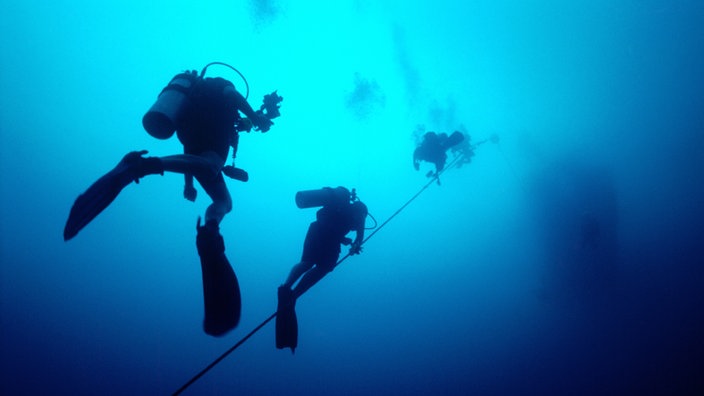 Zwei Taucher schwimmen entlang eines Seils Richtung Wasseroberfläche.