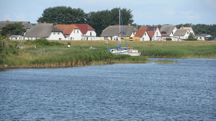 Häuser in einer ucht auf Hiddensee.