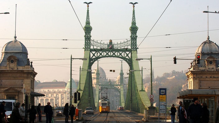 Brücke mit Stahlträgern und verzierten Brückenpfeilern. Eine Straßenbahn fährt gerade darüber.