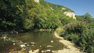 Die Donau fließt durch das Grün eines Naturparks