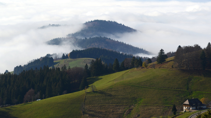 Kuppen ragen aus dem Nebelmeer