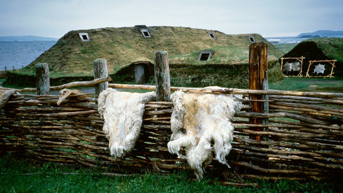 Zwei mit Gras bewachsene Hütten vor der Kulisse des Meeres. Im Vordergrund ein geflochtener Zaun, über dem zwei Felle hängen.