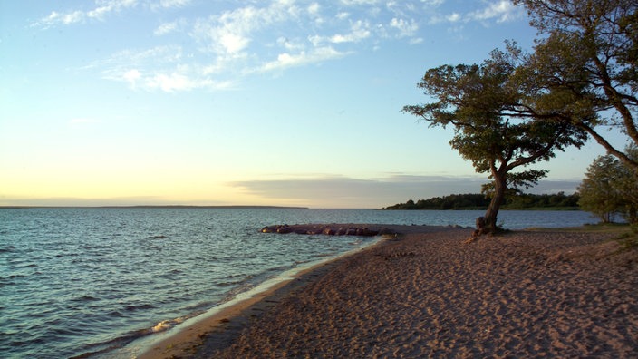 Strand auf Öland