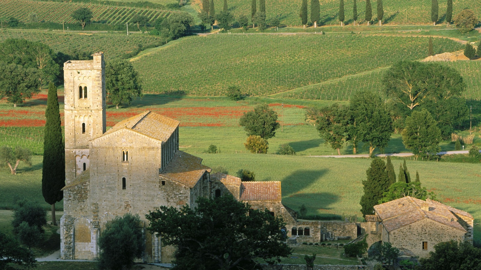 Blick von schräg oben auf ein kleines Kloster mit Nebengebäuden. Dahinter Weingärten und Bäume