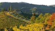 Blick auf herbstlich gefärbte Weinberge an den Hügeln des Chianti