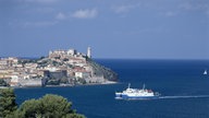 Blick auf den Hafen und einen Teil der Altstadt von Portoferraio auf Elba. Eine Fähre fährt gerade in den Hafen ein