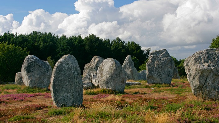 Hinkelsteine in Carnac