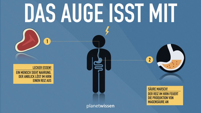 Das Auge isst mit: (1) Lecker Essen! Ein Mensch sieht Nahrung. Der Anblick löst im Hirn einen Reiz aus. (2) Säure Marsch! Der Reiz im Hirn feuert die Produktion von Magensäure an.