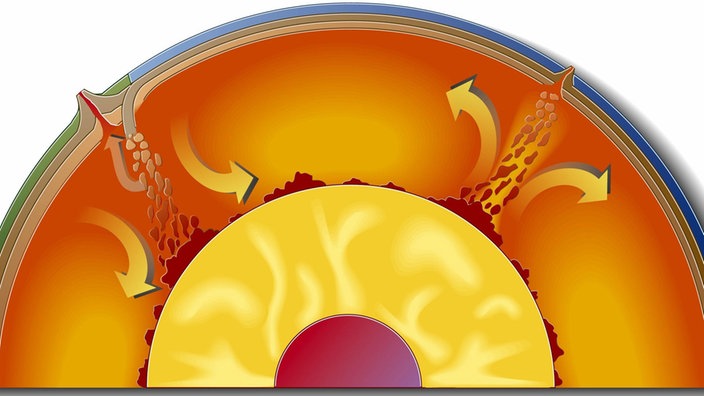 Querschnitt durch die Erde. An den Plattengrenzen oder an Hot Spots bahnt sich Magma seinen Weg an die Oberfläche.
