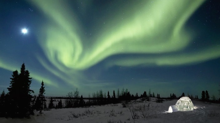 Polarlichter über der Winterlandschaft von Manitoba in Kanada