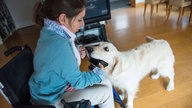 Ein Hund bringt einer Rollstuhlfahrerin ihr Smartphone.