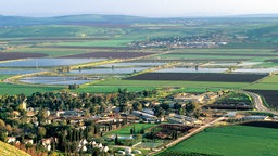 Fischzuchtbecken und landwirtschaftliche Nutzflächen im grünen Jordantal.