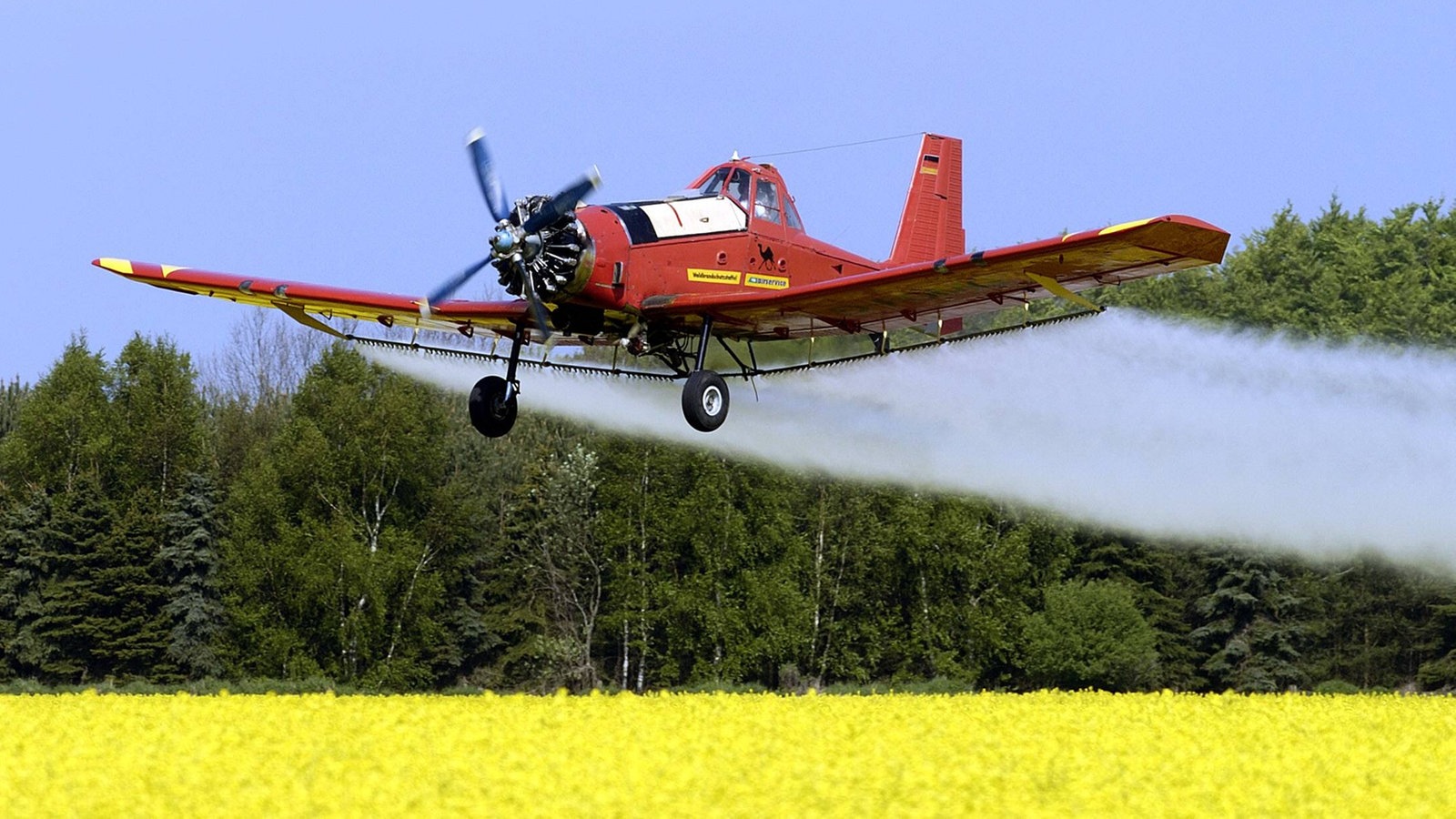 Ein Flugzeug versprüht Pflanzenschutzmittel über ein Rapsfeld