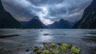 Blick über den wolkenverhangenen Fjord Milford Sound in Neuseeland