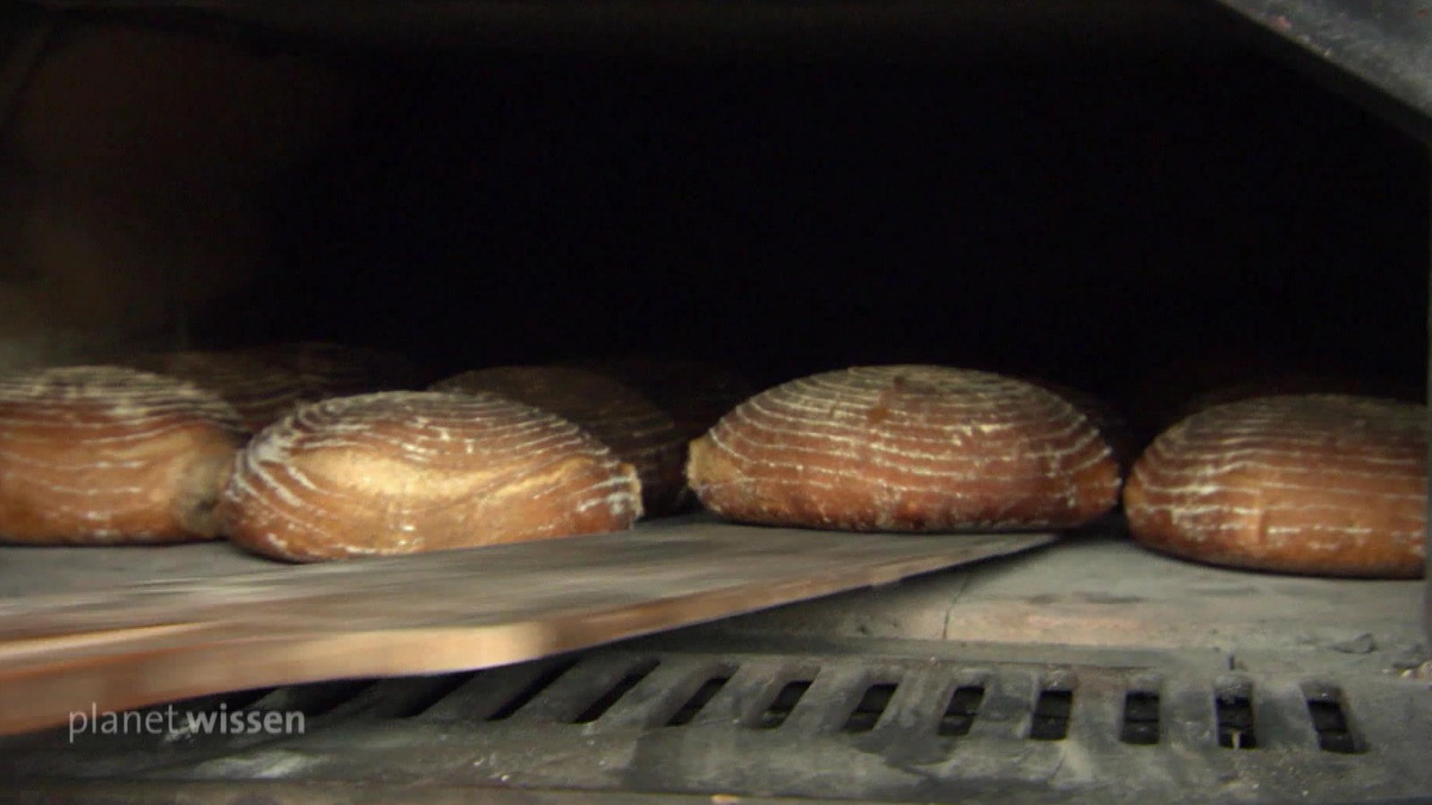 Gebackene Brotlaibe werden mit einem Holzschuber aus dem Holzofen geholt.