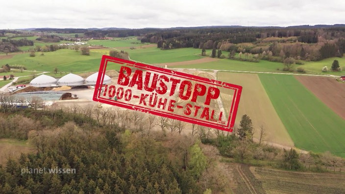 Blick auf Felder, die zwischen zwei Wäldern liegen. Auf dem Bild ist ein Stempel mit der Aufschrift 'Baustopp 1000-Kühe-Stall'.