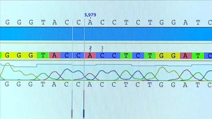 Blick auf einen Monitor mit genetischen Sequenzen.