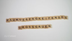 Auf einem hellen Hintergrund liegen Scrabble-Buchstaben zu dem Begriff 'Raumuebergreifendes Grossgruen' aufgereiht.