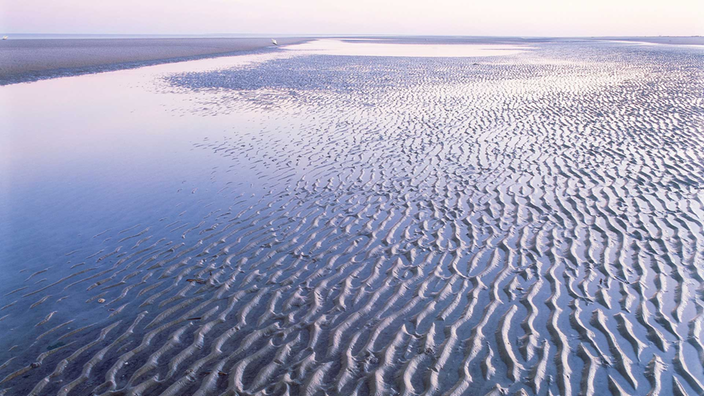 Das Wattenmeer der Nordsee bei Ebbe.